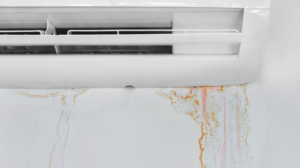 Why My Air Conditioner is Leaking Water