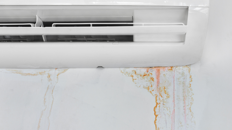 Why My Air Conditioner is Leaking Water