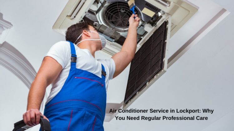 Maintaining a comfortable home is a priority, especially in the sweltering summer months, for every homeowner. While many rely on their air conditioners to keep them cool, few realize the importance of regular maintenance to ensure optimal performance. Professional air conditioner service goes beyond just cleaning filters and replacing parts—it’s about extending the life of [&hellip;]
